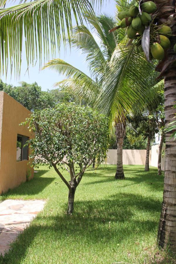 Myoli Wellness & Happiness Bnb Playa del Carmen Exterior foto