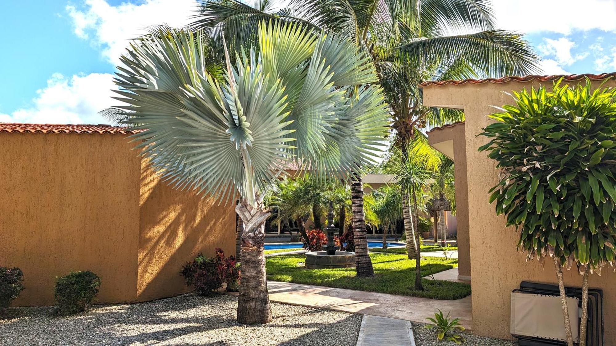 Myoli Wellness & Happiness Bnb Playa del Carmen Exterior foto